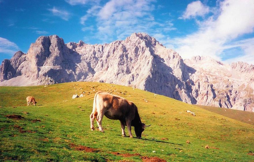Picos de Europa
